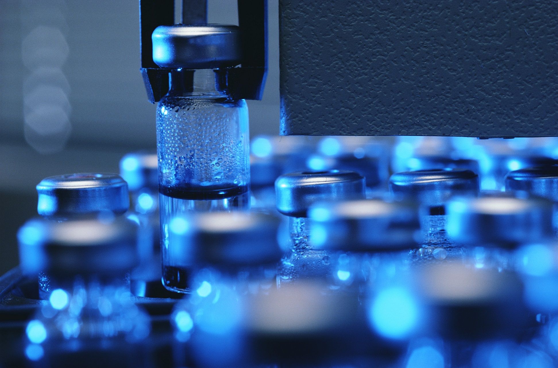 3019938 - Ymmunoledge