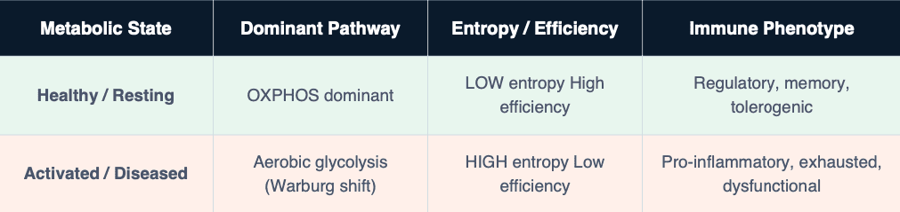 Capture décran 2026-04-01 à 103848 - Dr. Pascal Mensah | Ymmunoledge Estado metabólico de la tabla