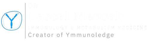 Company logo white version for dark backgrounds